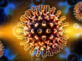 Remisión del VIH tras un trasplante hematopoyético