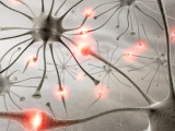 Electrofisiología desenmascara las claves del dolor neuropático