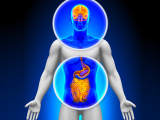 Metabolitos bacterianos y su vínculo con la depresión