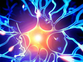 Neurogénesis del hipocampo es abundante en adultos sanos