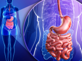 Terapia biológica induce curación histológica