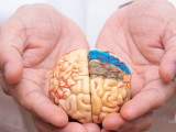 Control de PA y mejoras en la hemorragia cerebral