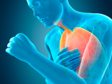 Plomo potencia consecuencias cardiovasculares de la EPOC 