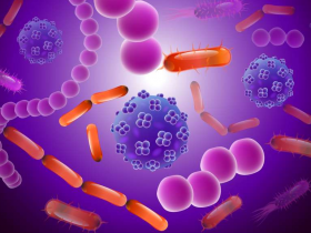 Autoinmunidad se vincula con cambios en microbiota