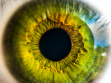 Retina: clave para el estudio del alzhéimer