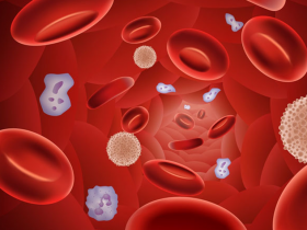 Apixabán e inhibidores de P2Y12 atenúan hemorragias