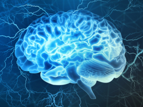 Dieta modula la estabilidad de la red cerebral