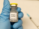 Vacuna tetravalente es segura contra el dengue