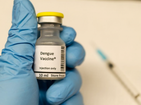 Vacuna tetravalente es segura contra el dengue
