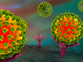 SARS-CoV-2 infecta productivamente a enterocitos 