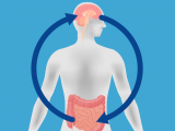 Probióticos como complemento de la terapia antidepresiva 