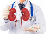 Ecuación EKFC mejora la determinación de la función renal