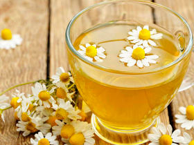 Fitoterapia alivia la rinosinusitis crónica