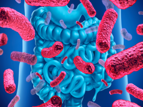 Microbiota intestinal regula la masa ósea
