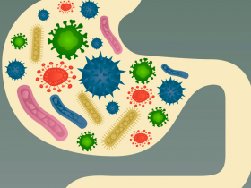 Dieta en la regulación de la microbiota: nuevo foco terapéutico