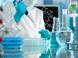 Nanopartículas e inmunoterapia contra el cáncer  