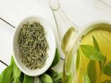Catequinas del té verde promueven el estrés oxidativo 