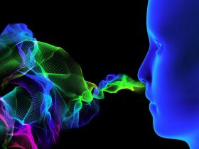 Nuevo modelo para vía cerebral de la percepción de olores 