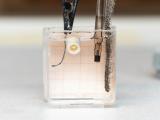 Microrobots pueden replicar tejido óseo 