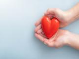 Deficiencia de vitamina D provocaría enfermedades cardiovasculares