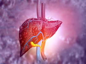 Sistema de puntuación predice riesgo de mortalidad en pacientes con hepatitis alcohólica