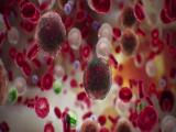 Nanopartícula de doble objetivo para el tratamiento del cáncer