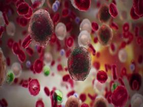 Nanopartícula de doble objetivo para el tratamiento del cáncer