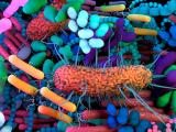 Efectos de la variación genómica en el microbioma