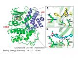 Inhibidor de Cdk5 altera el neurocomportamiento
