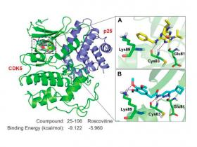 Inhibidor de Cdk5 altera el neurocomportamiento