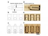 Dispositivo para microinyección de óvulos 