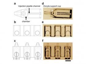 Dispositivo para microinyección de óvulos 