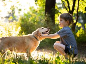 Intervenciones con perros reducen estrés en los niños 