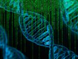 Un algoritmo al estilo de Netflix construye un plano de los genomas del cáncer