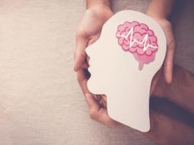 Interacciones proinflamatorias en la epilepsia resistente a los medicamentos