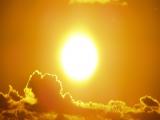 Mortalidad aumentaría debido a cambio climático 