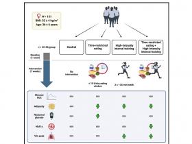 Combinación entre dieta y HIIT mejora la salud en mujeres con obesidad