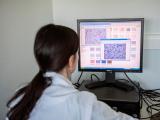 23 nuevas descripciones de géneros de lactobacillus 
