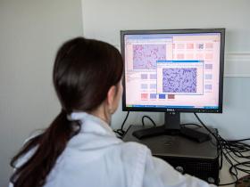 23 nuevas descripciones de géneros de lactobacillus 