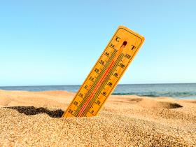 1 de cada 100 muertes por cardiopatías está relacionada con los días de calor extremos