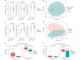 Hipertensos pueden beneficiarse de los metabolitos del microbioma intestinal