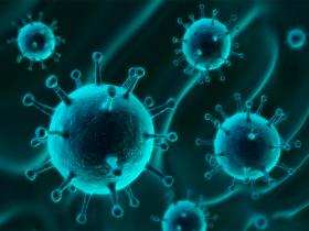 Características mecánicas críticas del ensamblaje de la cápside viral del VIH