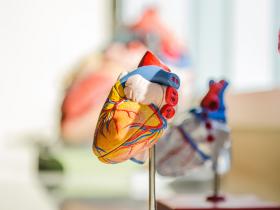 Reparación mínimamente invasiva de la válvula mitral reduce hospitalizaciones 