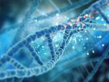 Genes que pueden aumentar el riesgo de esquizofrenia