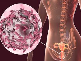 Microbioma vaginal de la madre no influye en el microbioma intestinal del bebé