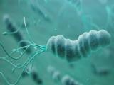 Variantes genéticas patógenas aumentan cáncer de estómago relacionado con H. pylori