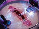 Cicatrización de heridas mediante microfluidos bioelectrónicos