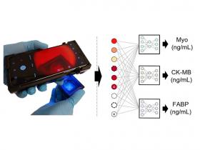 Prueba rápida y económica basada en papel para la detección multiplexada de biomarcadores