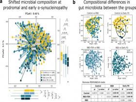 Señales de Parkinson en la microbiota intestinal de pacientes con trastorno de conducta del sueño REM