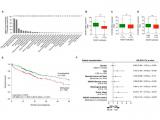 Mecanismo epigenético asociado al resultado clínico y la vulnerabilidad terapéutica en el cáncer de hígado